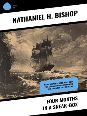 cover image of Four Months in a Sneak-Box